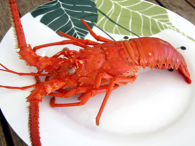 Comment choisir (et cuire) une langouste&nbsp;?